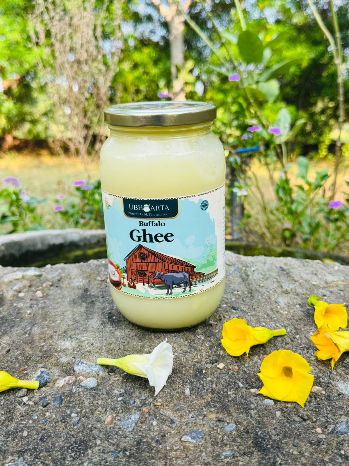 Ubharta Buffalo Bilona Ghee 500ml