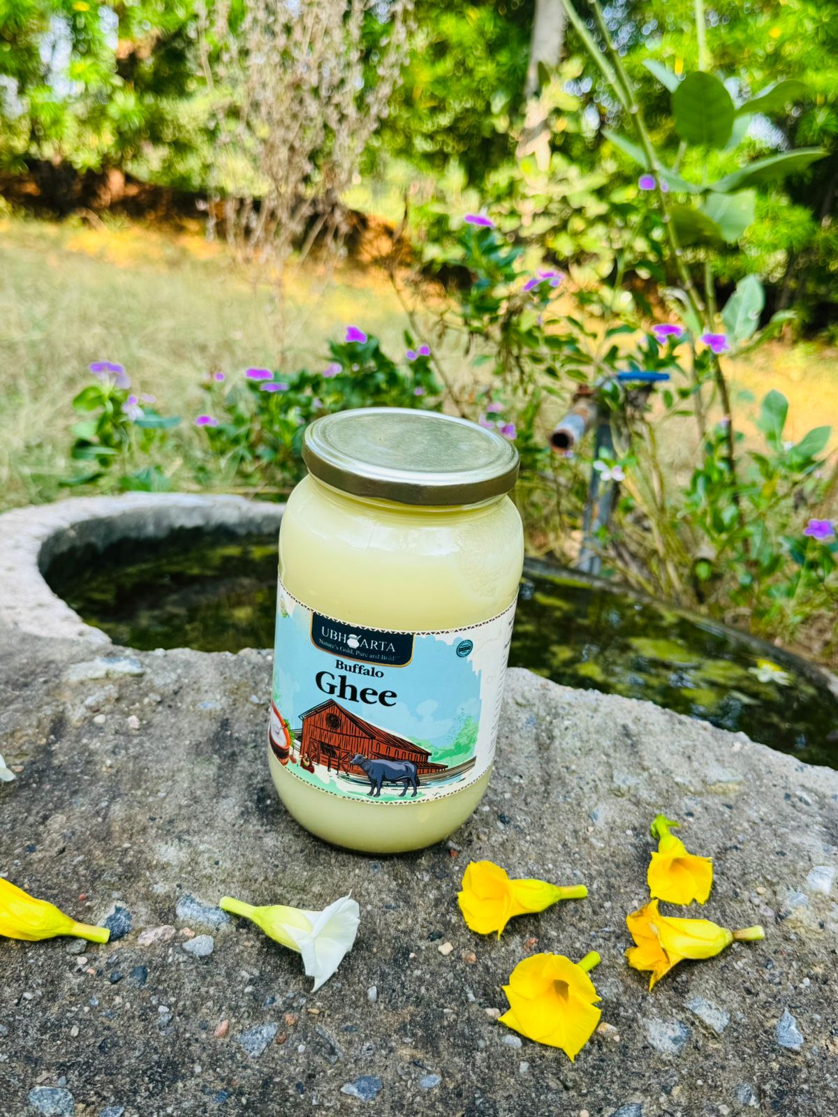 Ubharta Buffalo Bilona Ghee 1 liter