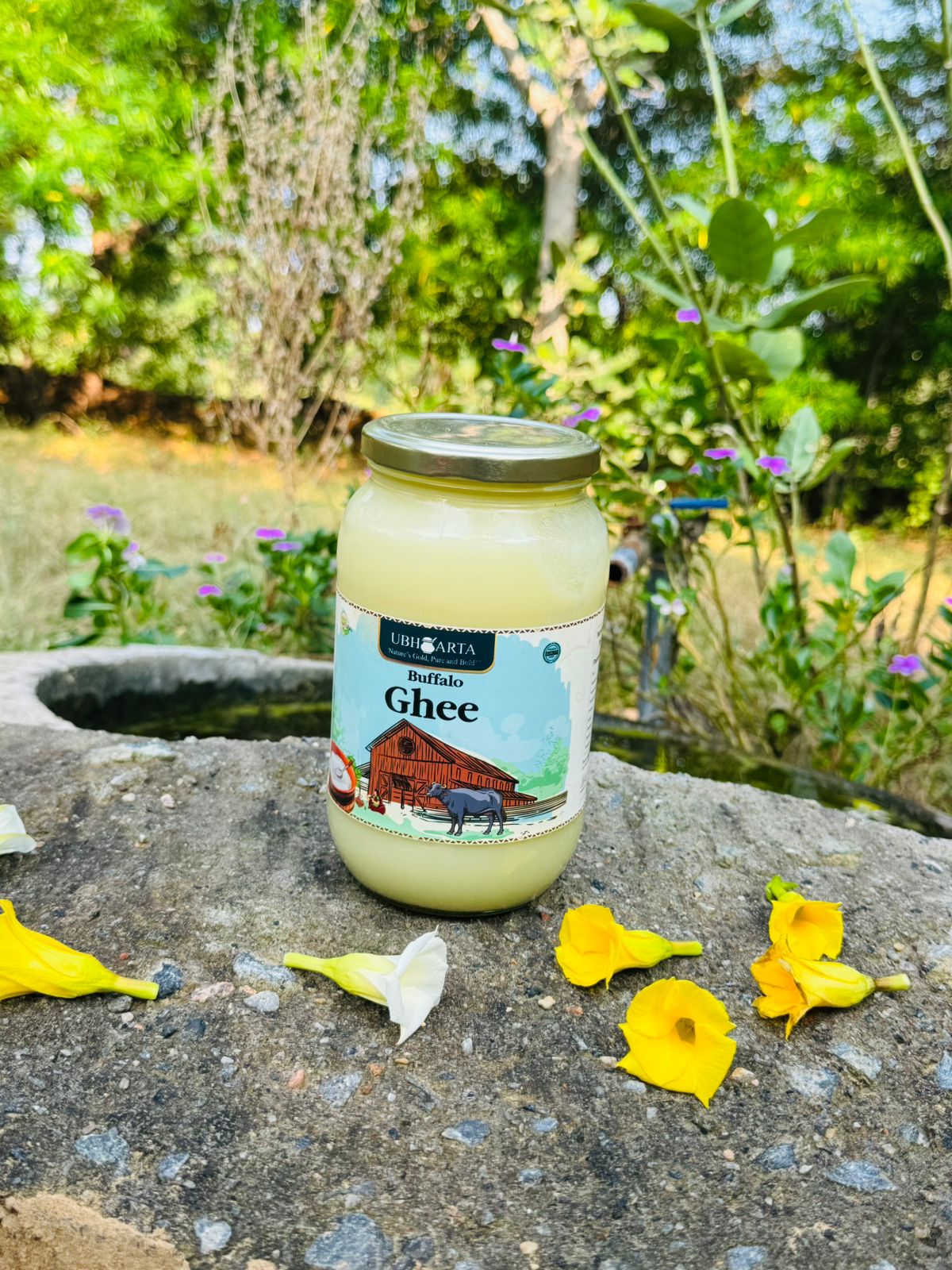 Ubharta Buffalo Bilona Ghee 1 liter